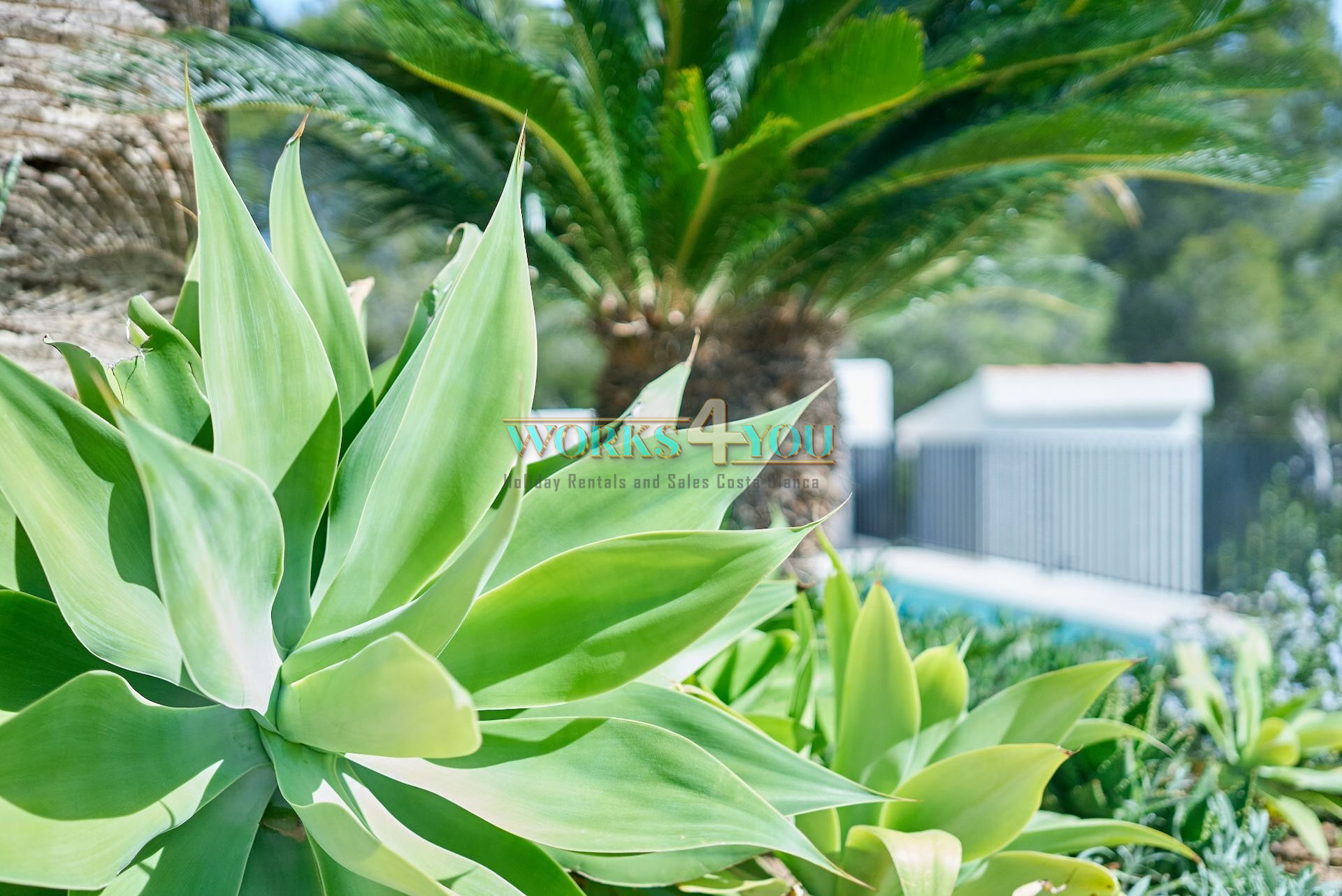 Villa Weltevree Altea 6 prs – foto 27