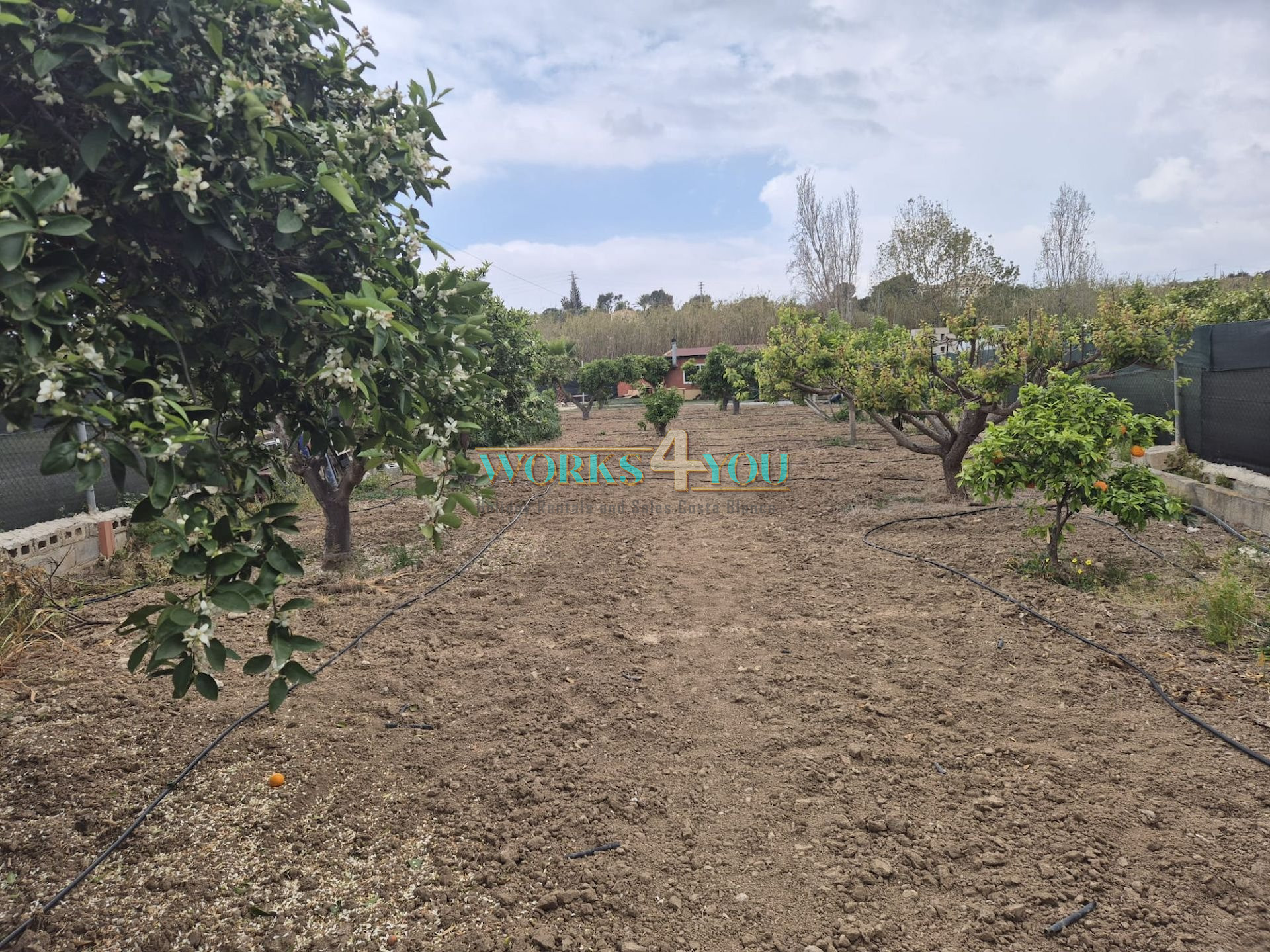 Country House in Altea, PARTIDA BARRANQUET – foto 33