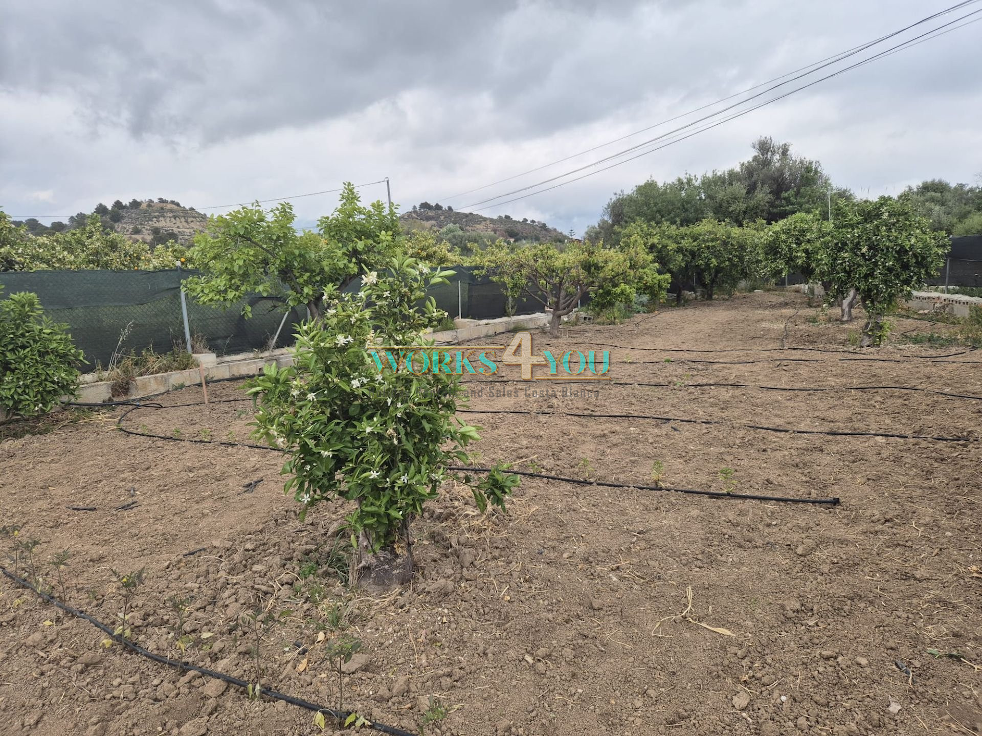 Country House in Altea, PARTIDA BARRANQUET – foto 34